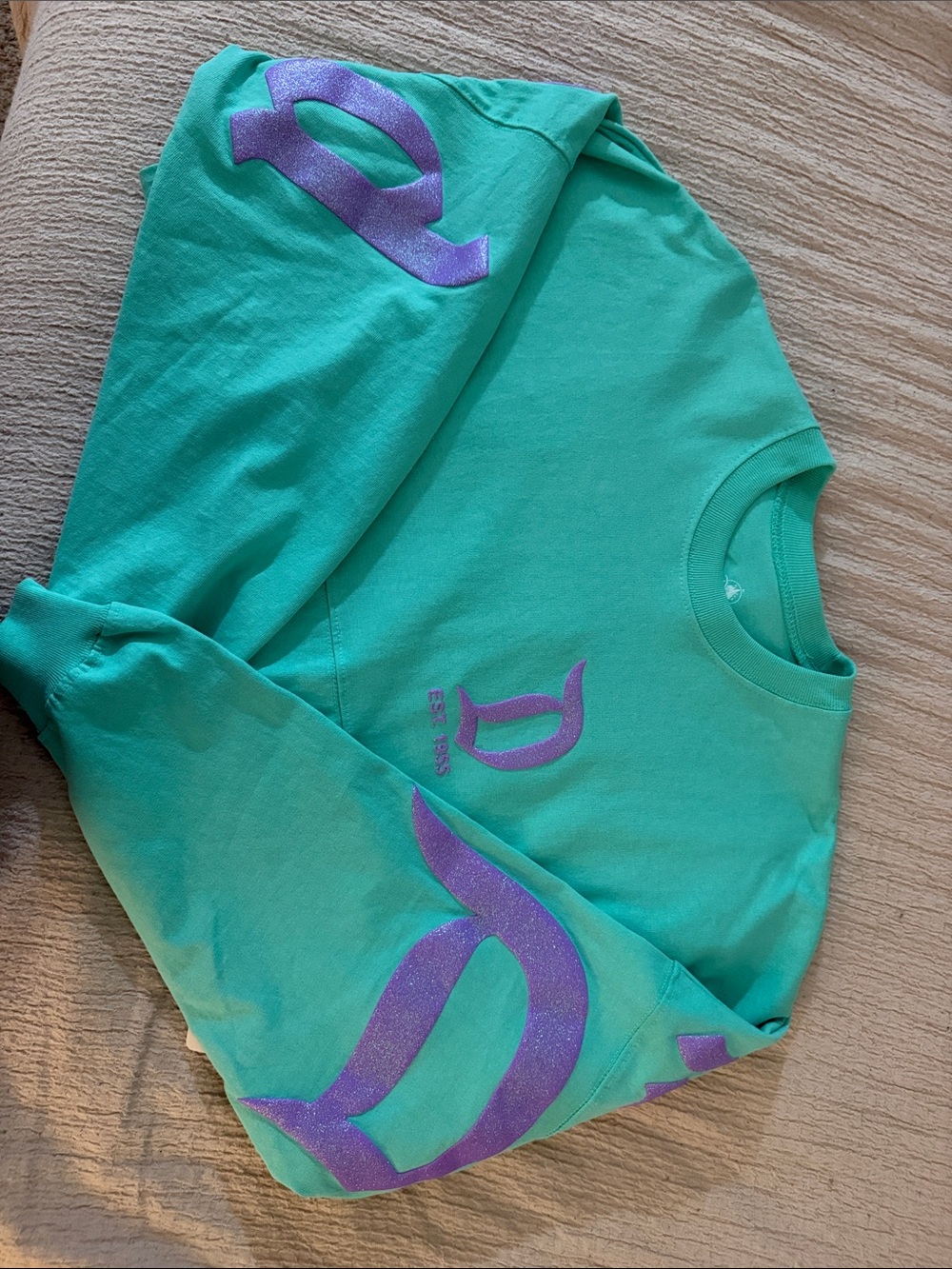 Disney Disneyland Blue and Purple Spirit Jersey for Adults size small - Picture 10 of 12